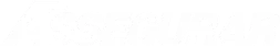Logo assegurar copiar
